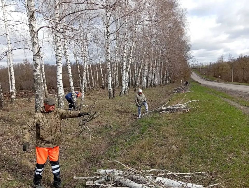 ������ �������: � ������ ��������� ������������� �������� ������������ �������, � ����� � ������ ������������� ������� �������������� ������������ � ������ ������������ ����������� �� ��������� ���������������