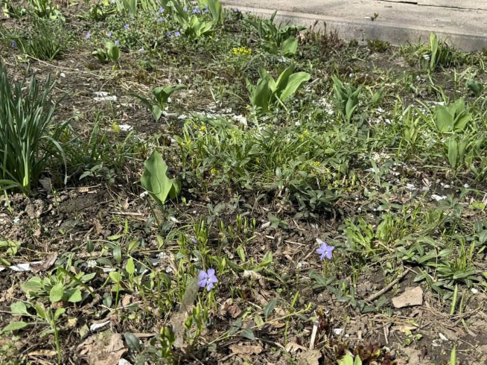 ������ 8 ������. ������� ��������� ������� ��������� �����