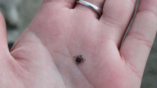 � ������������ ������� �������� ����������� ��������� �� ������� ����� 1 000 ��