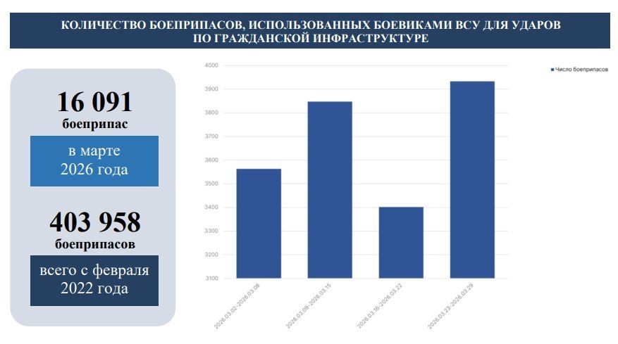 #���������������������������