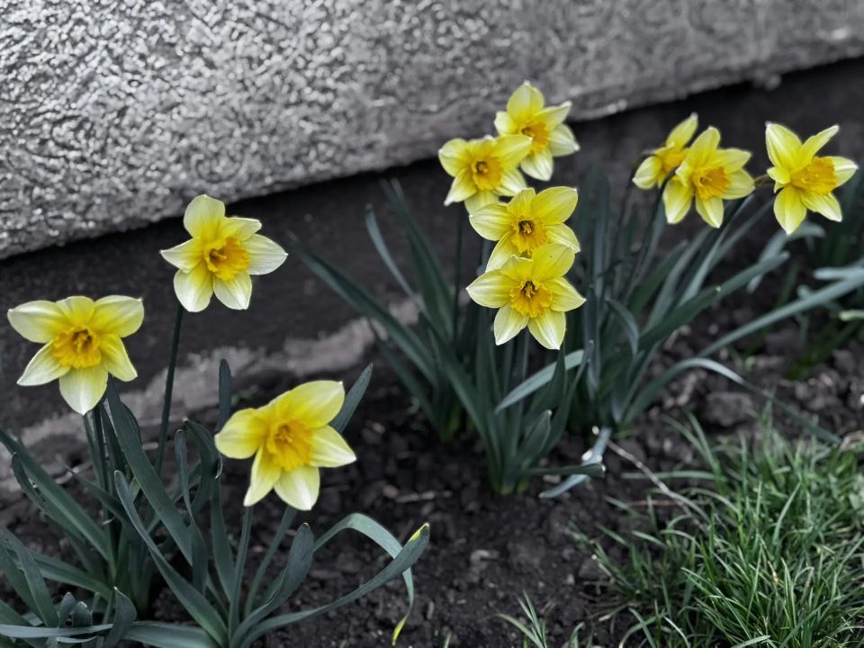 ������ �������� ������� ��������� ����� ���� � �������������, ��� ����� ��������� �������� � ��������