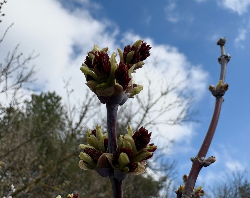 ������ �������� ������� ��������� ����� ���� � �������������, ��� ����� ��������� �������� � ��������