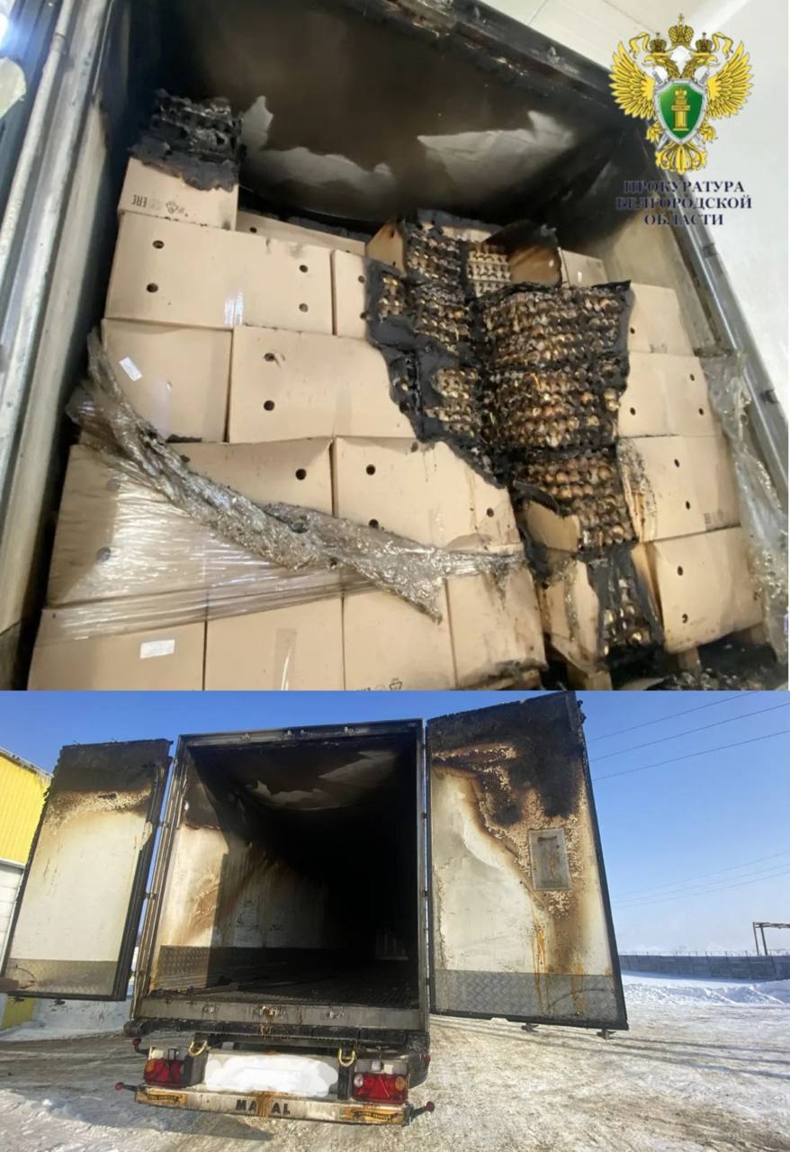 Дезинфицировал яйца и спалил их: белгородец пойдёт под суд за нелепое преступление