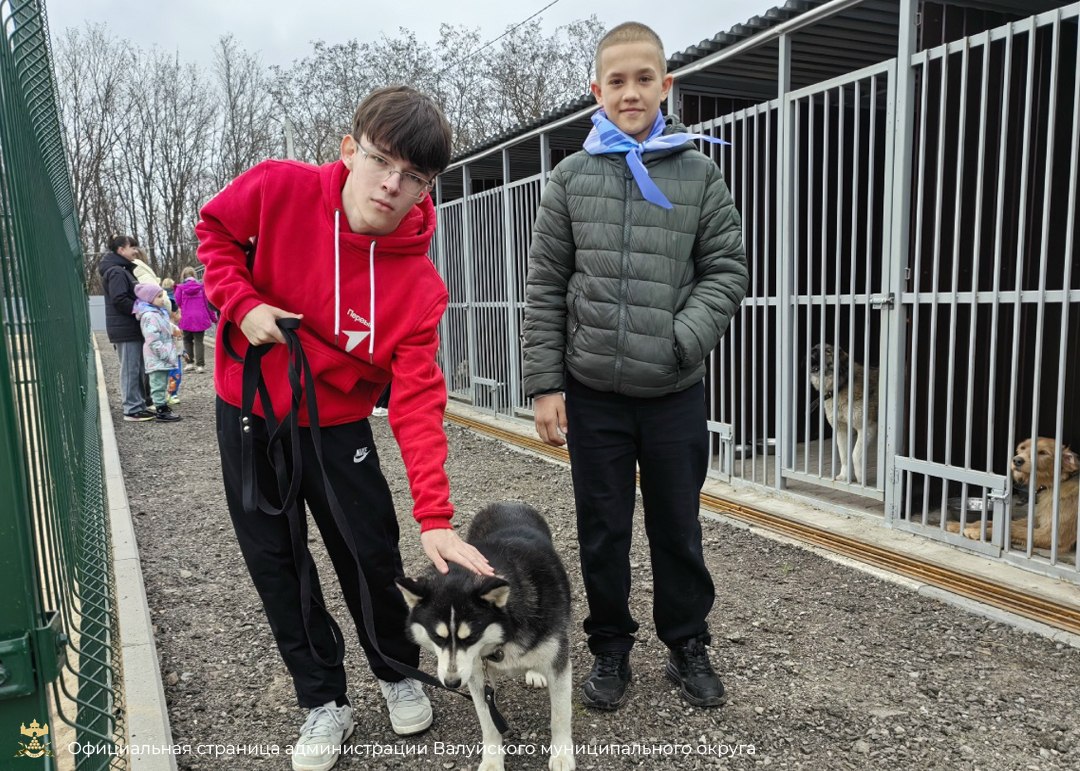 Обучающиеся школы № 4 города Валуйки вместе с родителями и педагогами побывали в приюте для бездомных собак Обучающиеся школы № 4 города Валуйки вместе с родителями и педагогами побывали в приюте для бездомных собак
