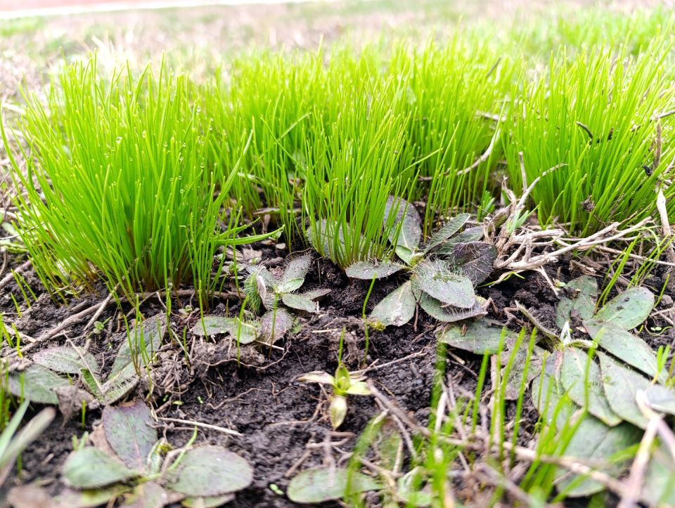 ������ �������� ������� ��������� ����� ���� � �������������, ��� ����� ��������� �������� � ��������