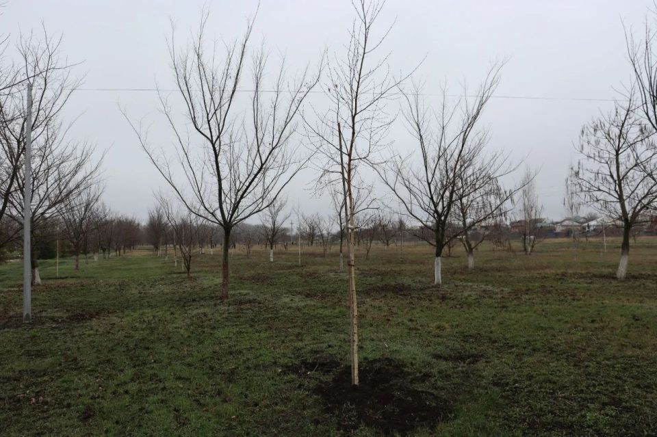 ������ �������������� �������������� ������ �������������� � ����� ���� ������