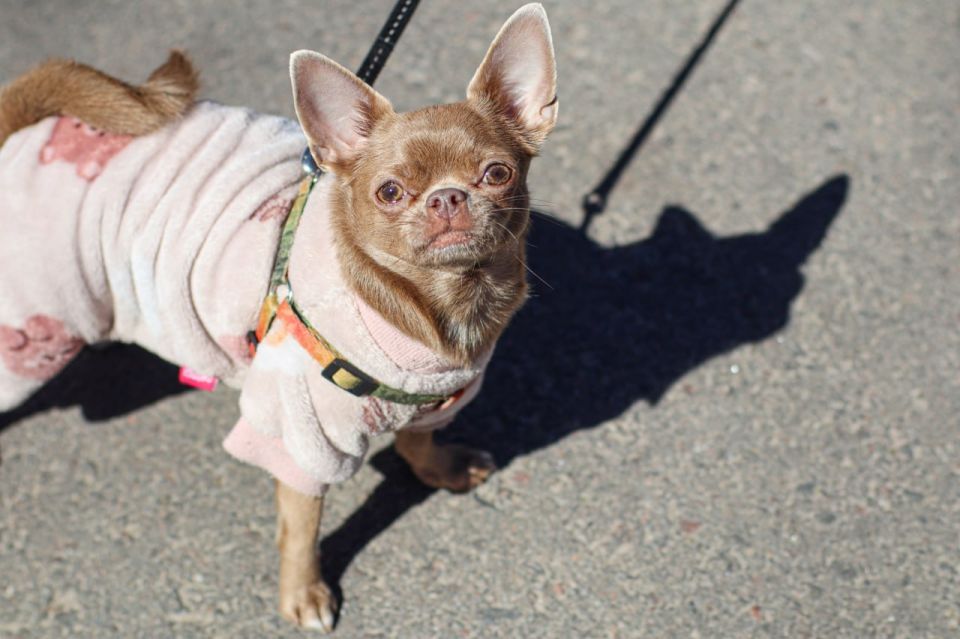 ������ 9 ������. ������� ��������� ������� ��������� �����