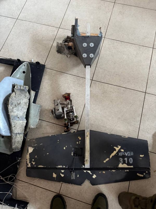 3 ������ �������������). ���� �������, ���� �������, ���������