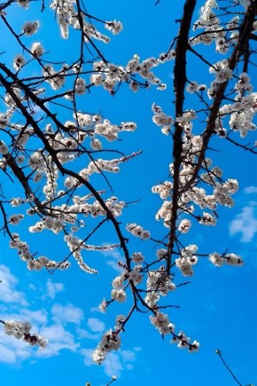 ������� � ������ �������, ���� �� ����� ������� ���������� ��� ������������