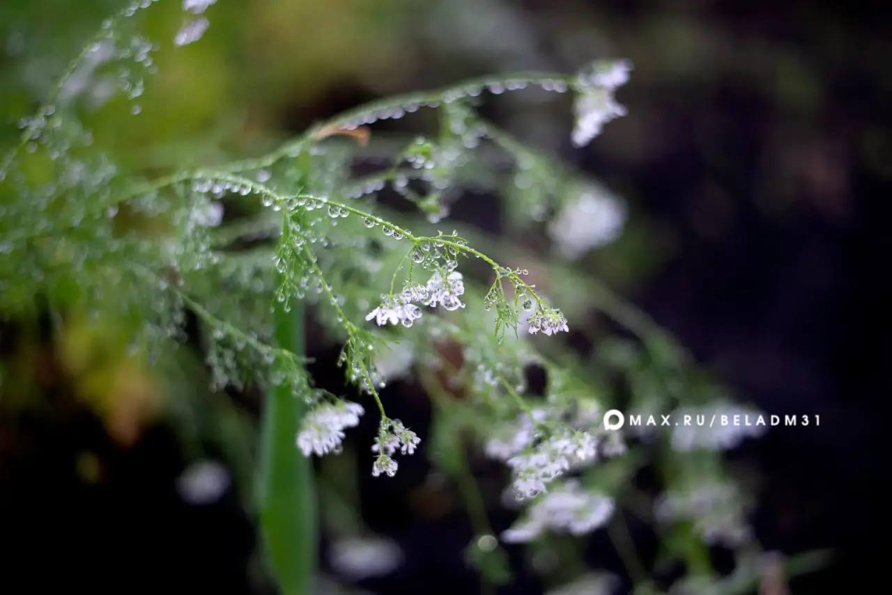 Доброе утро, Белгород!. 9 апреля нас ждёт облачная погода