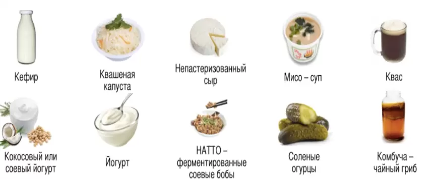 Пробиотики и ферментация: что нужно знать для здоровья кишечника