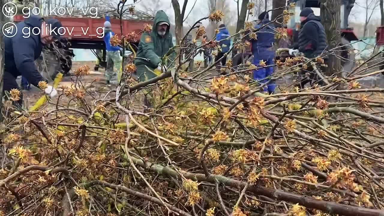 Продолжаю информировать вас о работе, которая проводится в рамках месячника добровольного служения, инициированного губернатором Белгородской области