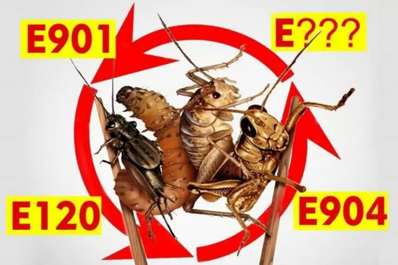 Необычные добавки в вашем рационе: что за насекомые скрываются в ваших любимых продуктах?