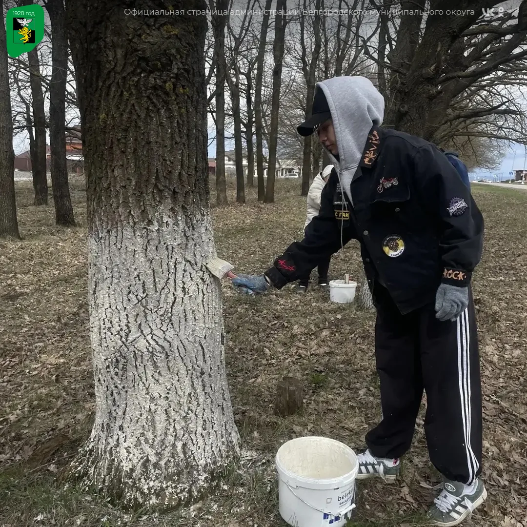 Экологическая акция «Дни служения Белгородской области» продолжается Экологическая акция «Дни служения Белгородской области» продолжается
