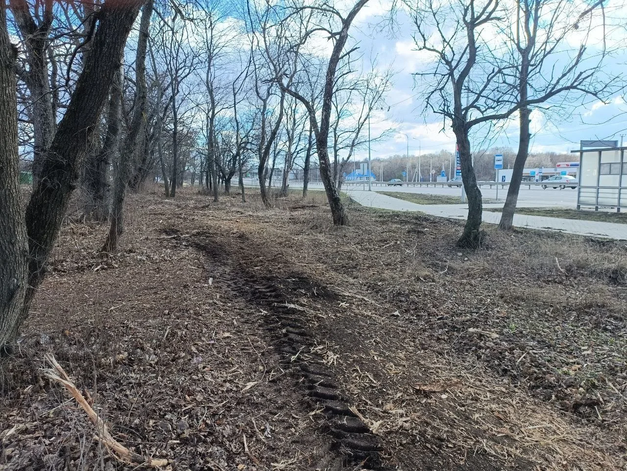 Олег Медведев: Яковлевский РЭС провёл плановые работы по наведению порядка на закреплённом участке трассы М-2 Олег Медведев: Яковлевский РЭС провёл плановые работы по наведению порядка на закреплённом участке трассы М-2