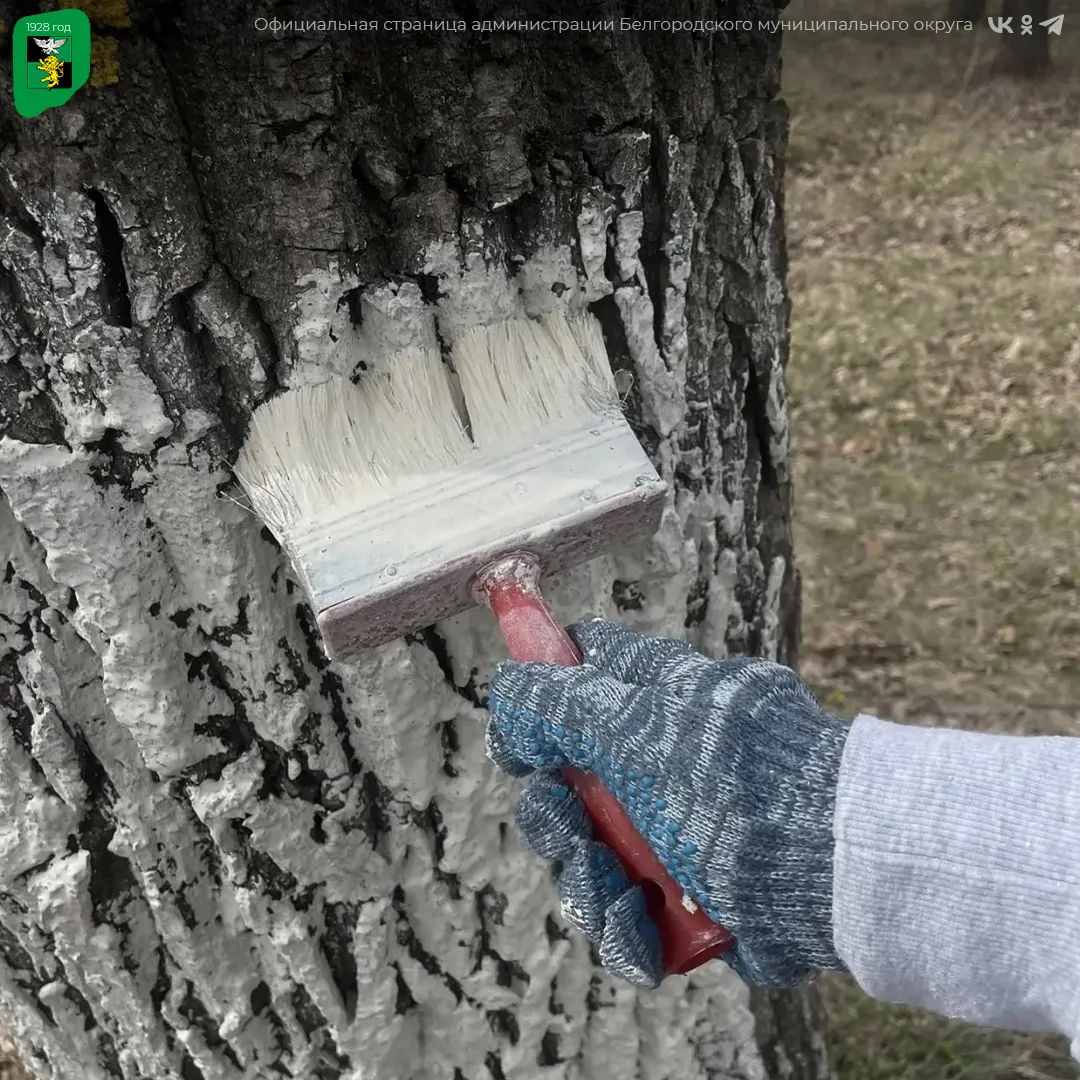 Экологическая акция «Дни служения Белгородской области» продолжается Экологическая акция «Дни служения Белгородской области» продолжается