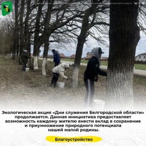 Экологическая акция «Дни служения Белгородской области» продолжается