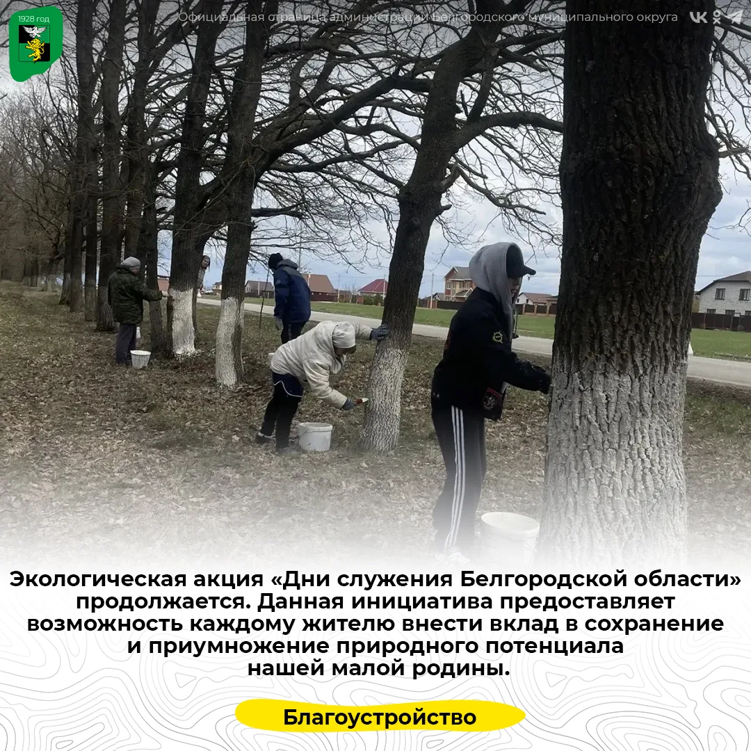 Экологическая акция «Дни служения Белгородской области» продолжается