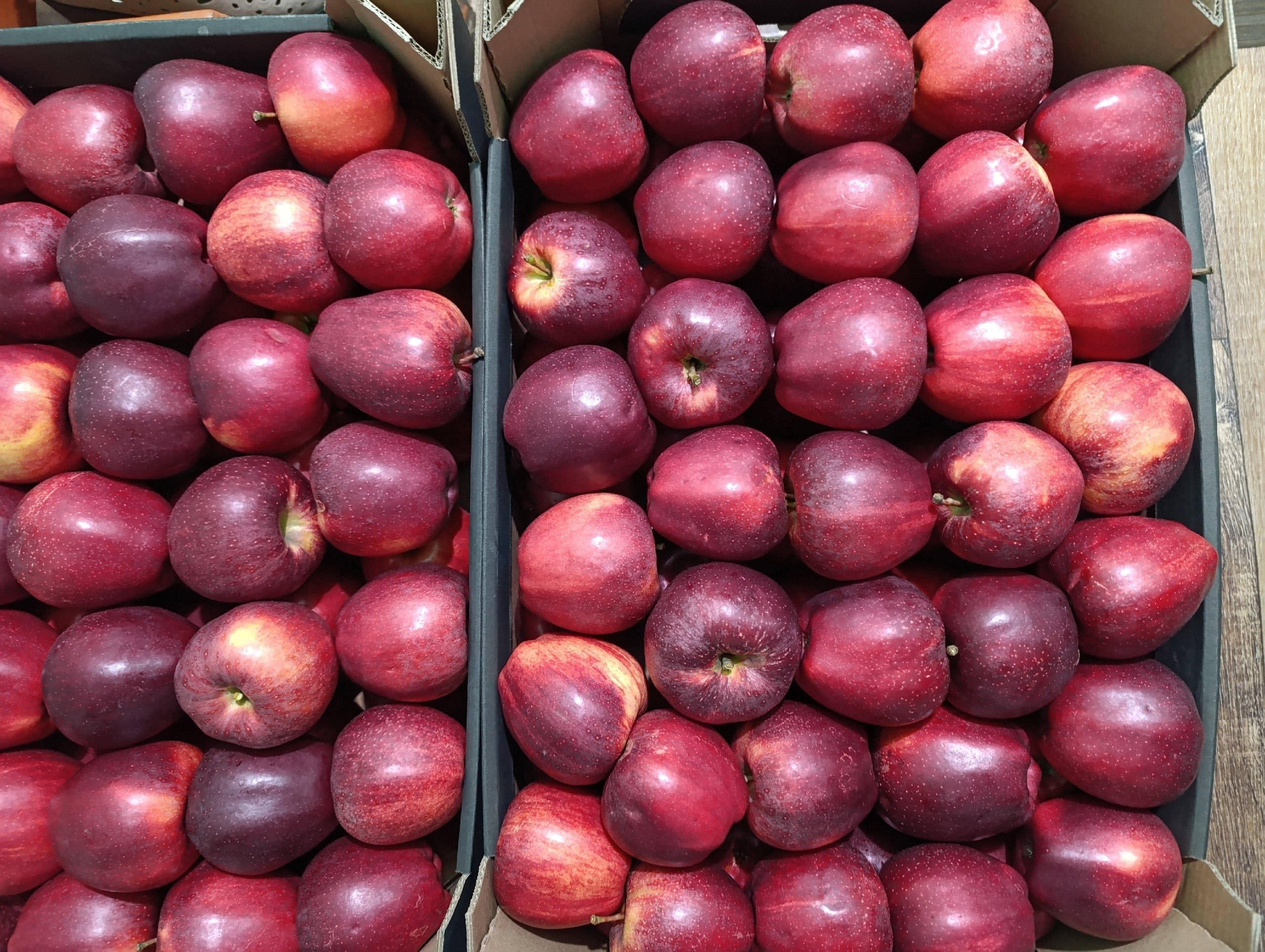 С заботой о фронте: депутаты передали пасхальные угощения военнослужащим С заботой о фронте: депутаты передали пасхальные угощения военнослужащим