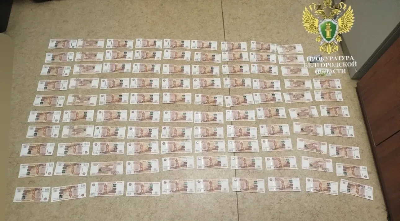 В Белгороде доцент кафедры одного из вузов получила почти 700 тыс