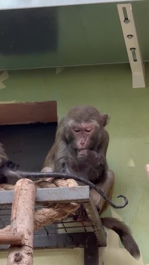 ������ ��� ��������� ���� ��������