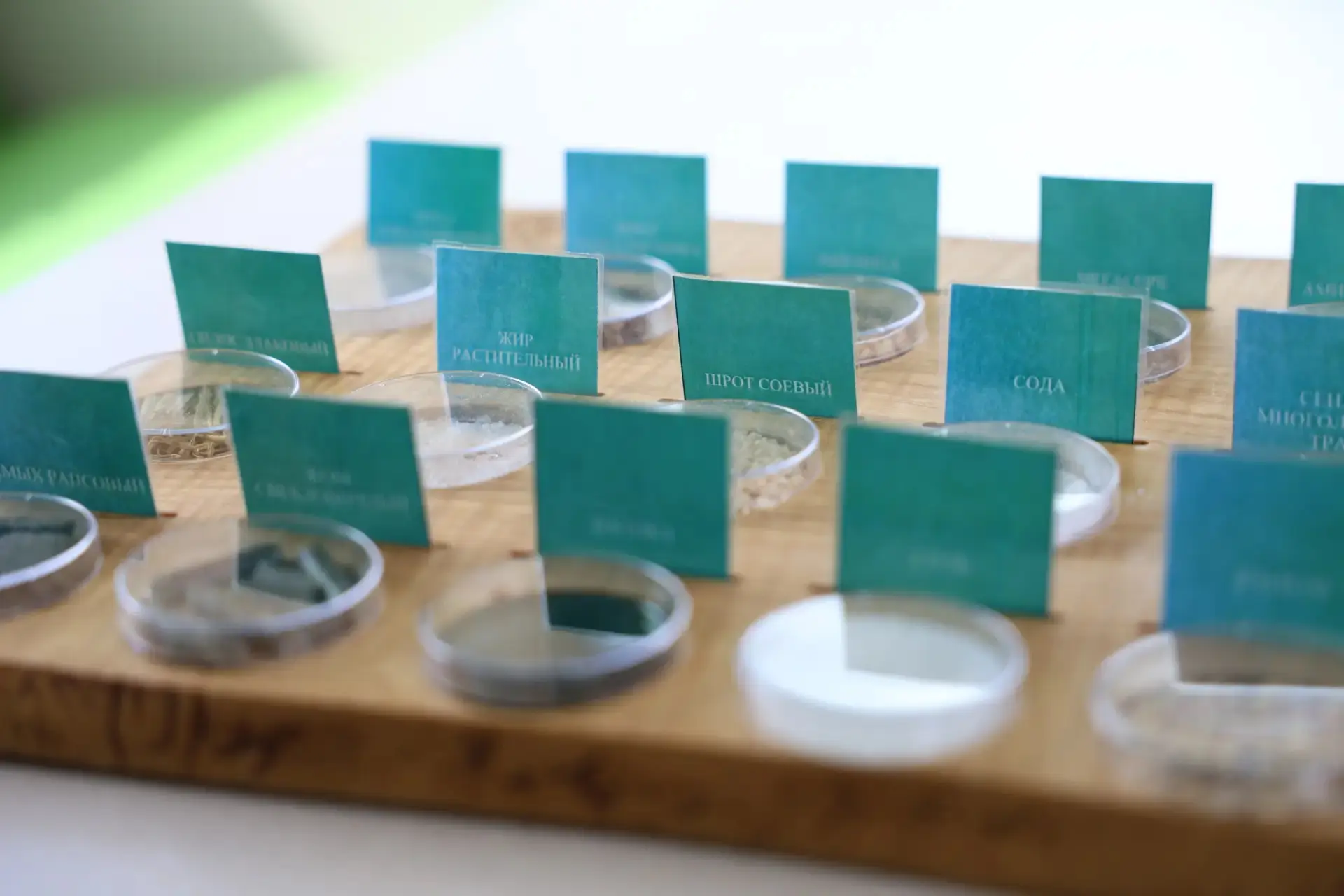 Олег Медведев: 13 апреля в Школе креативных индустрий г. Строитель прошло профориентационное мероприятие "Мой путь в выборе профессии" Олег Медведев: 13 апреля в Школе креативных индустрий г. Строитель прошло профориентационное мероприятие "Мой путь в выборе профессии"