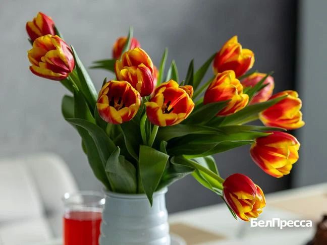 ������� ������: ��� ��� �������� � ��������� �����? �� �� ����� ���� ��� ����� �������� � ����������