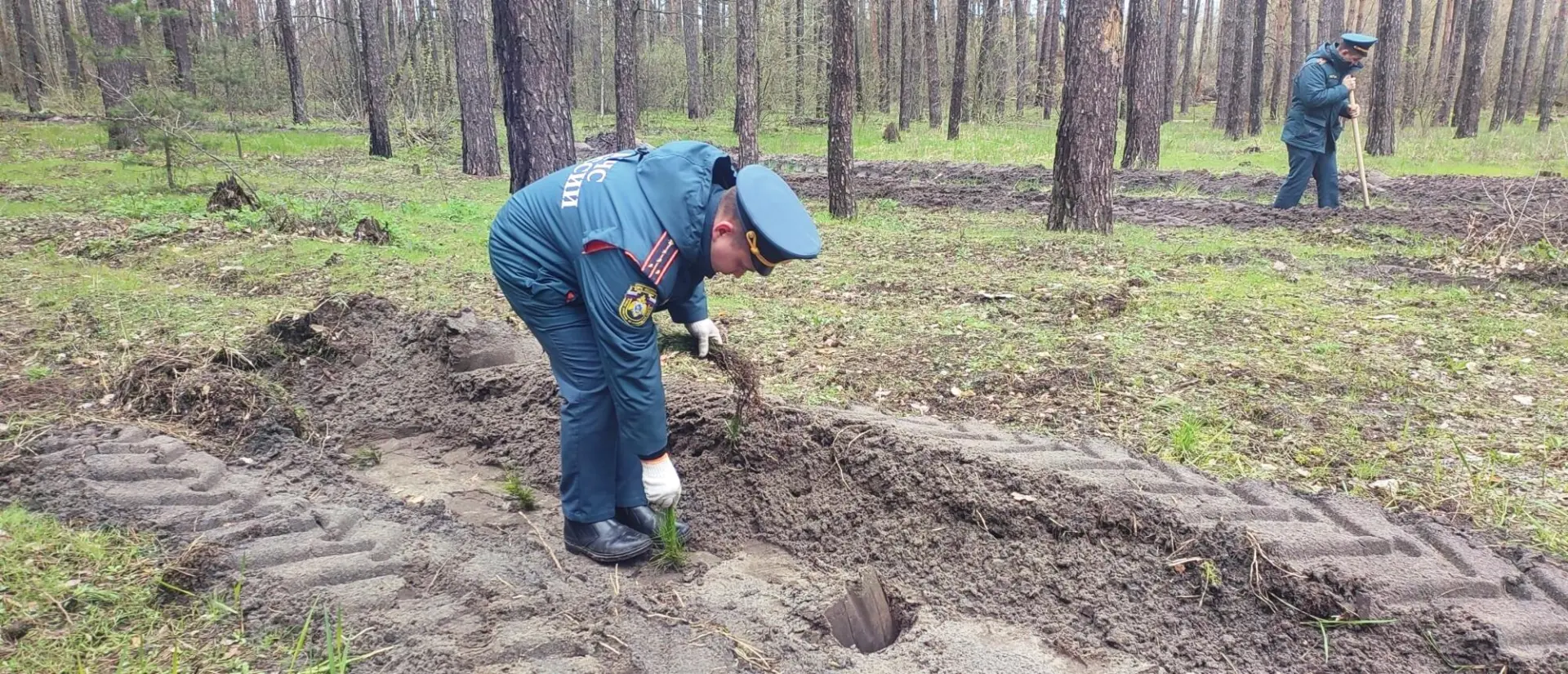 В урочище Пески в Белгороде появился парк в честь грядущего 100-летия государственного пожарного надзора В урочище Пески в Белгороде появился парк в честь грядущего 100-летия государственного пожарного надзора