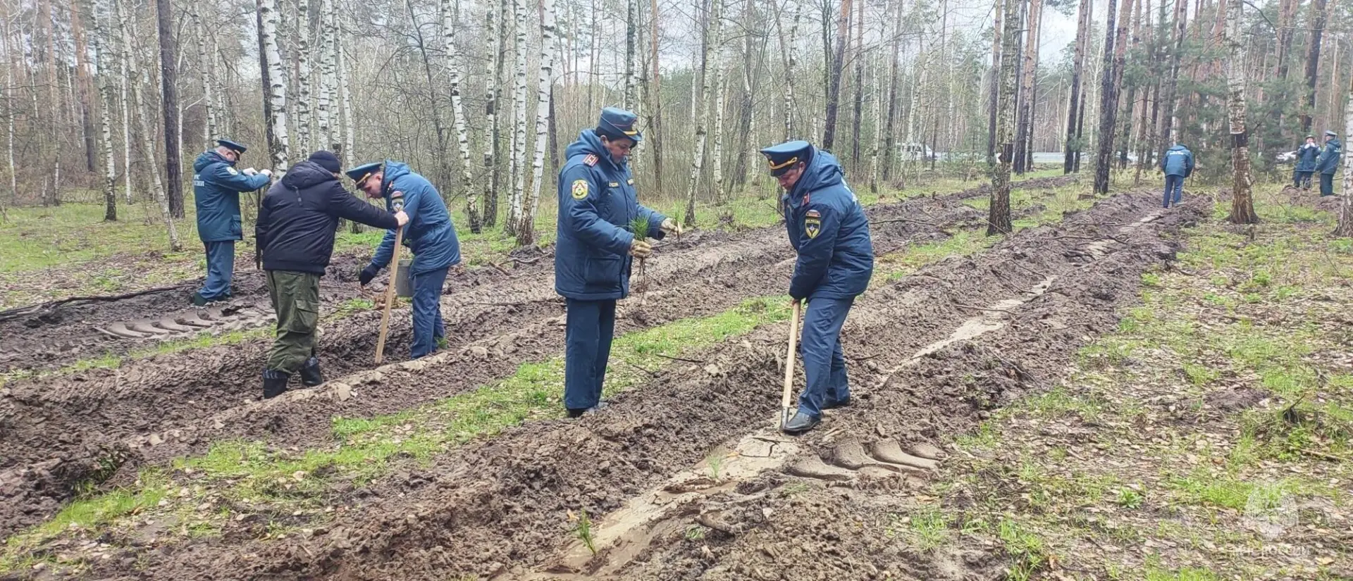 В урочище Пески в Белгороде появился парк в честь грядущего 100-летия государственного пожарного надзора В урочище Пески в Белгороде появился парк в честь грядущего 100-летия государственного пожарного надзора