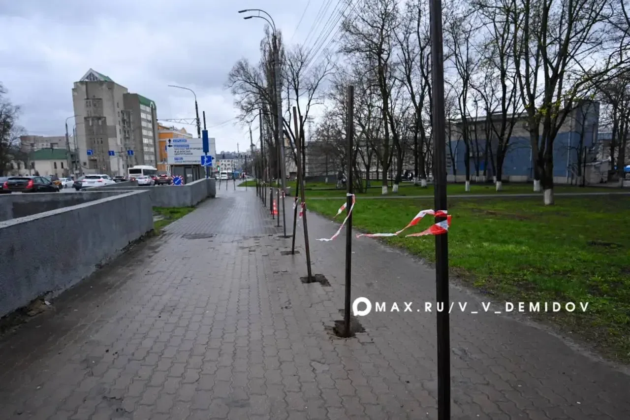 На остановке «Энергомаш» в Белгороде во время ремонта подземного перехода для пешеходов организуют наземный На остановке «Энергомаш» в Белгороде во время ремонта подземного перехода для пешеходов организуют наземный