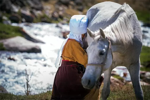 Секреты айрана: один напиток — множество культур и традиций