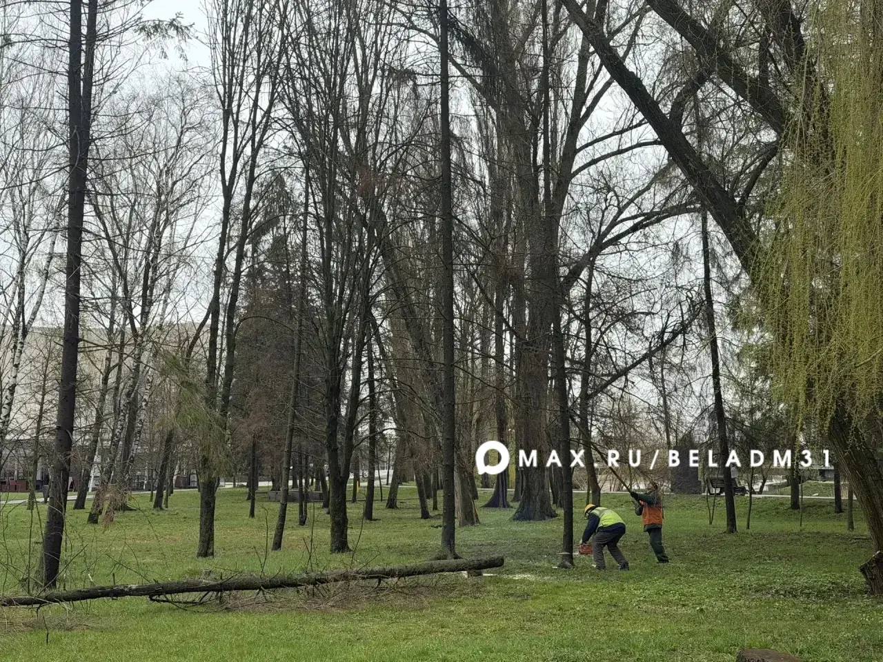 В Белгороде продолжается масштабная весенняя уборка В Белгороде продолжается масштабная весенняя уборка