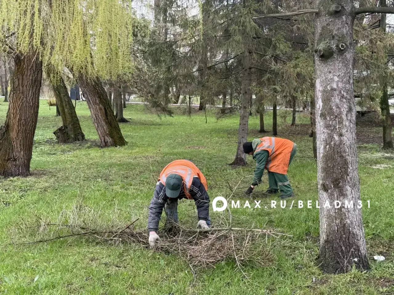 В Белгороде продолжается масштабная весенняя уборка В Белгороде продолжается масштабная весенняя уборка