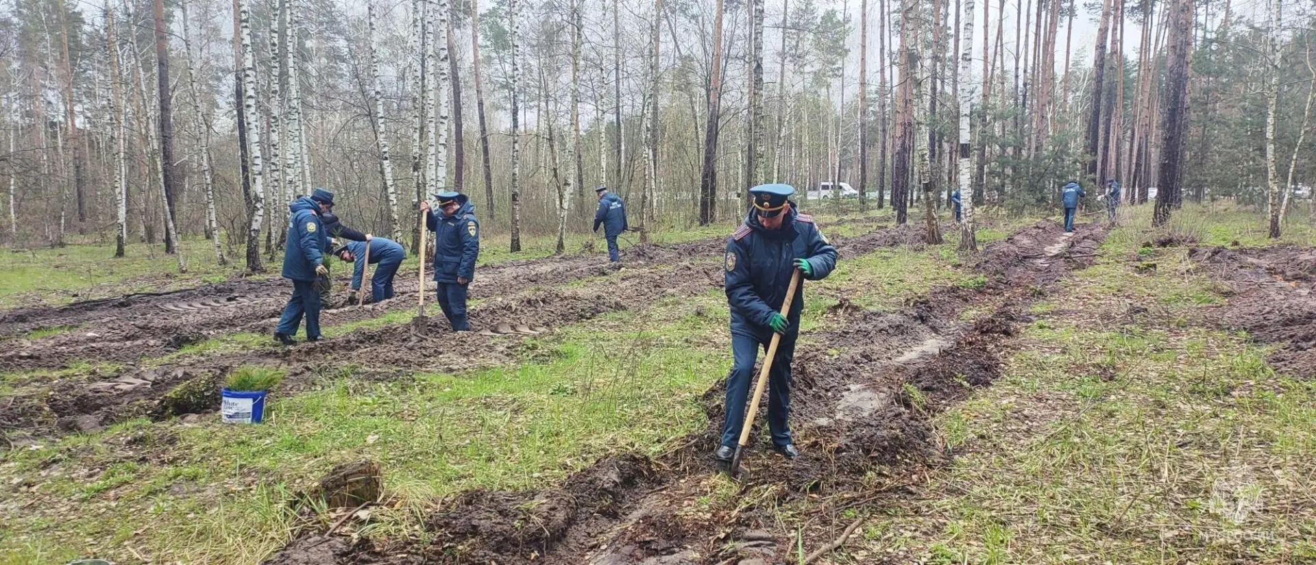 В урочище Пески в Белгороде появился парк в честь грядущего 100-летия государственного пожарного надзора