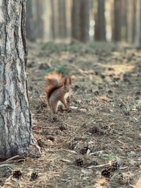 ������ 15 ������. ������� ��������� ������� ��������� ������ � ��������� �����