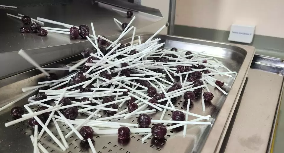 Сладкие мечты: фабрика «Candy mood» выходит на рынок Узбекистана