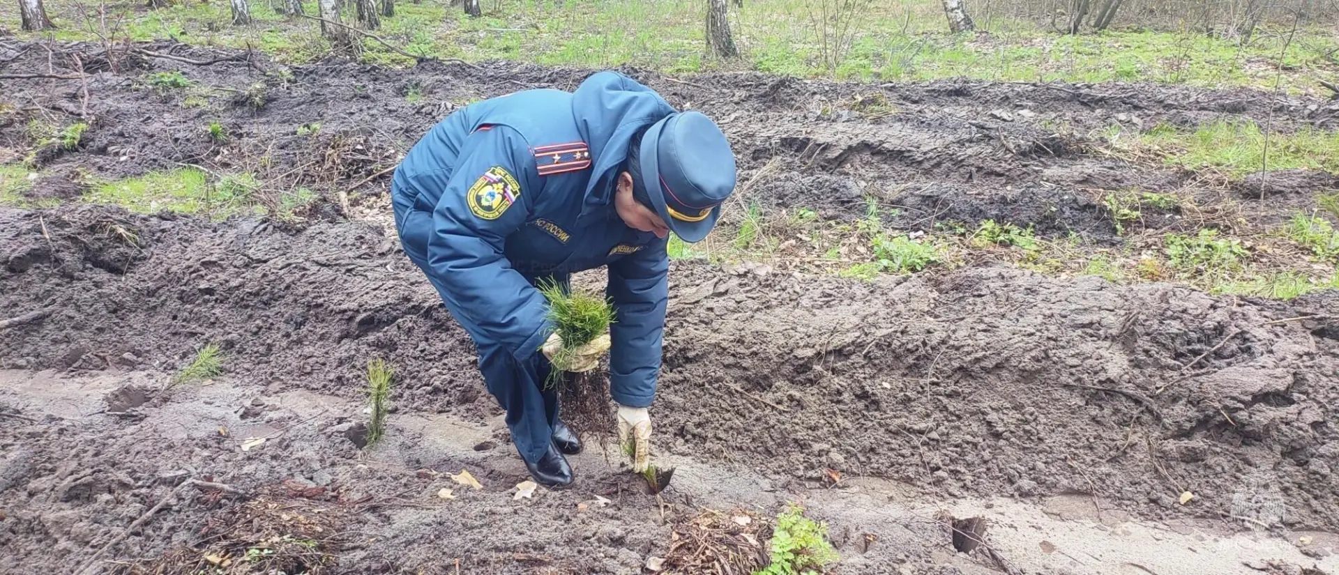 В урочище Пески в Белгороде появился парк в честь грядущего 100-летия государственного пожарного надзора В урочище Пески в Белгороде появился парк в честь грядущего 100-летия государственного пожарного надзора