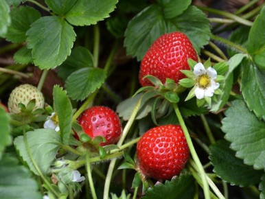 �������� ��������: �������� ������� ������ � ����������� ��� �����