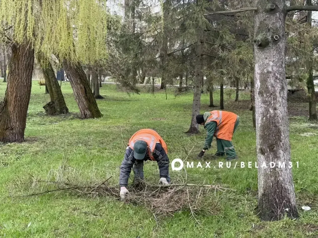 Весенний Белгород становится чище и свежее Весенний Белгород становится чище и свежее