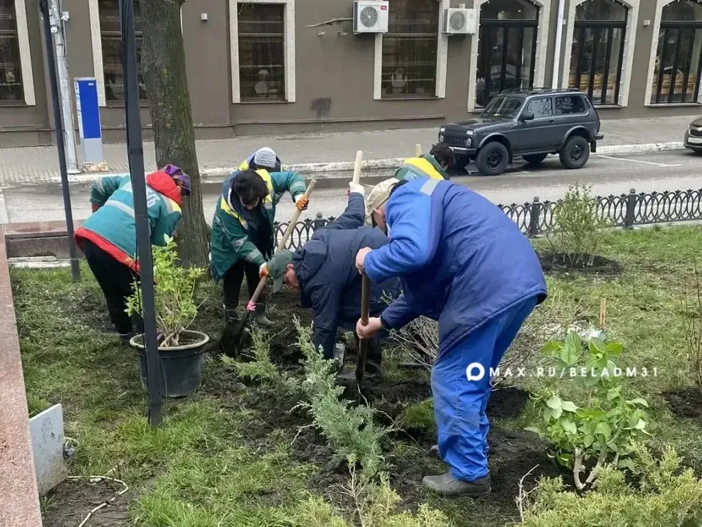 Весенний Белгород становится чище и свежее Весенний Белгород становится чище и свежее