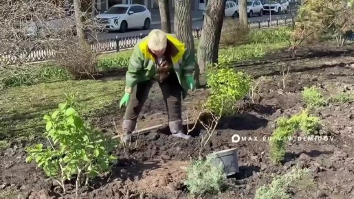 �������� �������: ���� ����������� ��������������� ������ � ������� ���� �� �������� �������