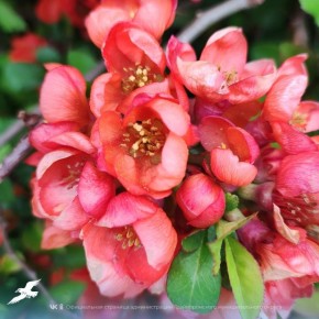 ������ ����, ������!. ������� ������� ����� ����� ����� ���� ������