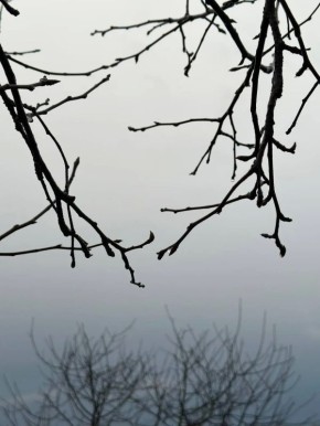 Доброе утро, белгородцы!. Четверг обещает стать самым тёплым днём недели