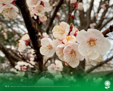 16 ������. ����������� ������� 11�C, �������, ��� �������