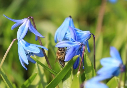 ������ 16 ������. ������� ��������� ������� �������� � ������������ ������