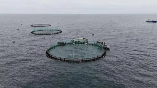 ������������� ������ �� ������: ������� �������� ����������� � ������