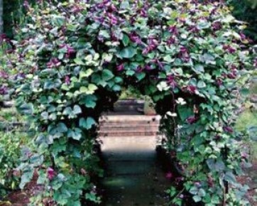 ����������� ����: ������� �������� ������� � �����