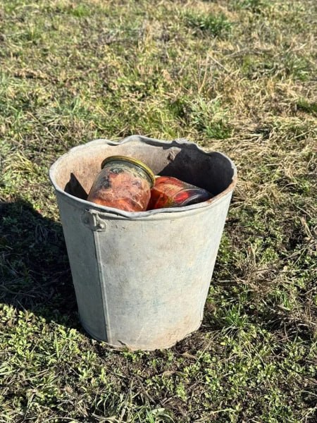 Новооскольские полицейские раскрыли кражу 17 банок консервации из подвала Новооскольские полицейские раскрыли кражу 17 банок консервации из подвала