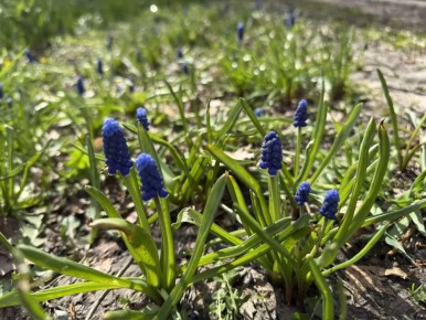 �������, 17 ������, ����� �������� � ������������ ������