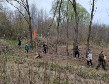 �������� ����������: � ����������� �� ����� ����� ������: ���������� ������������� ������������ ������ ����� �� ���������